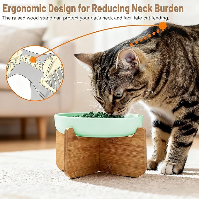 Shallow Elevated Cat Bowls with Bamboo Stand, 6.1 Inch Wide Ceramic Cat Dish Whisker Friendly, 2 Pack Pet Food and Water Plates