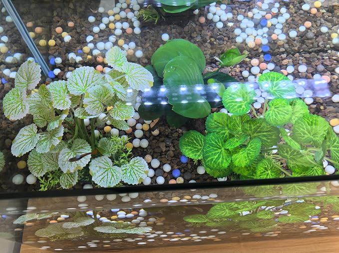 M2cbridge Fish Tank Plastic Soft Grass Water Plants 2pcs Serrated Leaf | zero maintenance, soft without scratching, healthy underwater home
