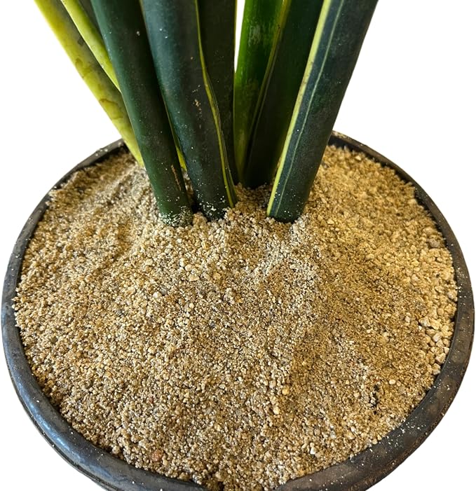 Horticultural Coarse Desert Sand for Plants – Washed Drainage Sand for Succulents, Cactus & Bonsai | Potting Grit for Soil Mix, Terrariums, Aquariums & Top Dressing (1 Quart, 3 lbs)