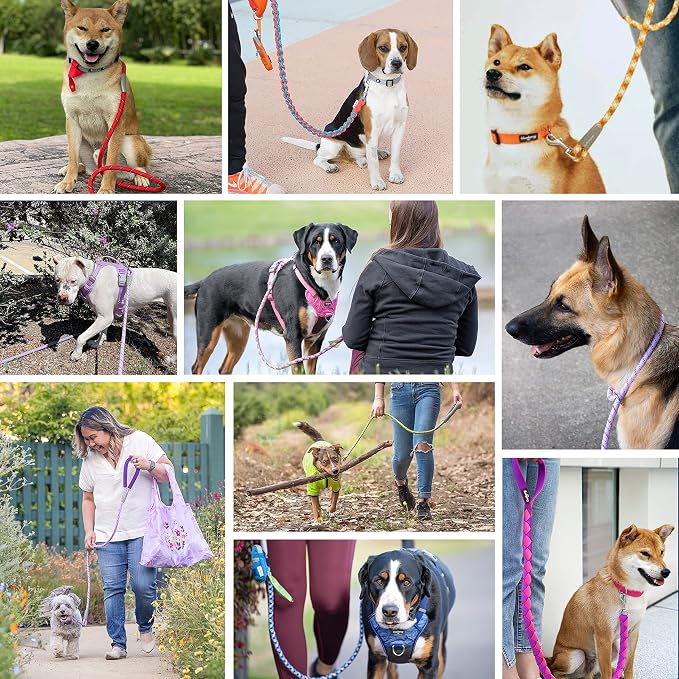 Blueberry Pet Essentials Dog Leash, Puppy Essentials, Strong Rope Dog Leashes for Large Dogs Heavy Duty, 4ft, Comfortable Neoprene Handle, French Pink, Eco-Friendly, Water & Dirt Resistant