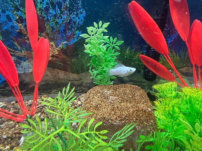 EcoBio-Block Aquarium Water Clarifier (Nano, 0.8–1.5 gal) | Volcanic Rock — Lasts Up to 2 Years — No Weekly Additives — Long-Term Water Balance — Safe for Fish, Shrimp, Frogs & Turtles