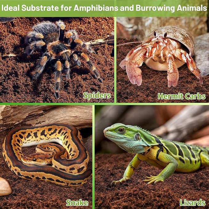 Riare 1 Pack Natural Coconut Fiber Substrate, Coco Coir Reptile Bedding | Coconut Husk Reptile Substrate for Tortoises, Hermit Crabs, Snakes, Bearded Dragon, Geckos, Reptile Enclosure/Terrarium Setup