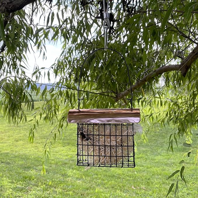 Songbird Essentials Nesting Material
