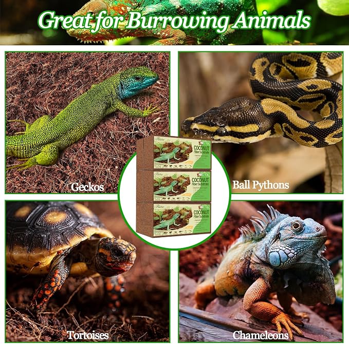 Riare 6 Pack Natural Coconut Fiber Substrate, Coco Coir Reptile Bedding | Coconut Husk Reptile Substrate for Tortoises, Hermit Crabs, Snakes, Bearded Dragon, Geckos, Reptile Enclosure/Terrarium Setup