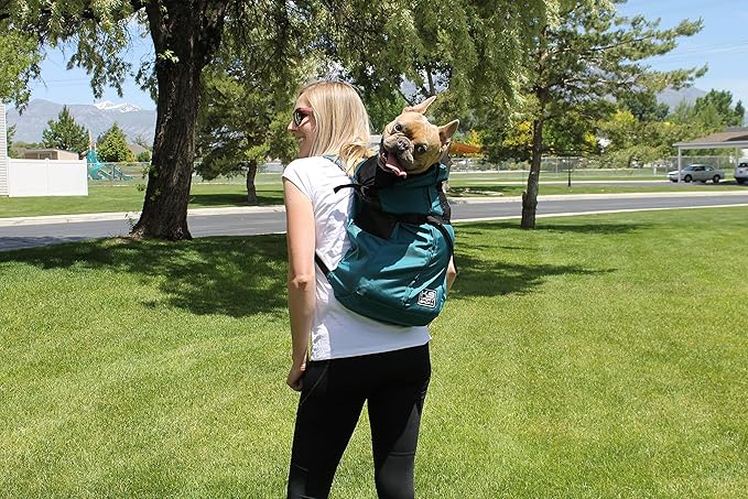 K9 Sport Sack Trainer - X-Small, Iron Gate - Ideal for Dogs with 9-12” Back Length - Backpack-Style Training Carrier - Meant for Quick, Non-Strenuous Activities