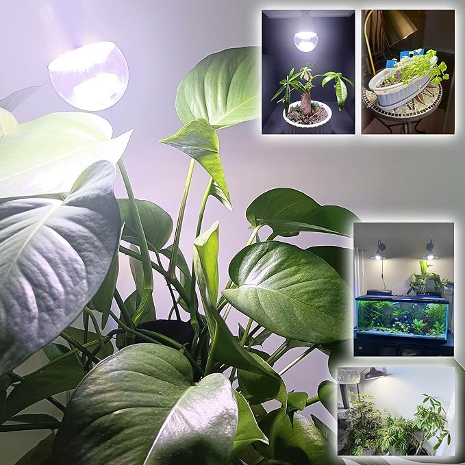 Led Grow Light Bulbs for Indoor Plants Full Spectrum E26 A19 | Grow LED Lamp 10W with Balanced 5000K Red Blue for Seeds Greens Laboratory,School,Greenhouse, Indore Garden, Hydroponic,3Pack