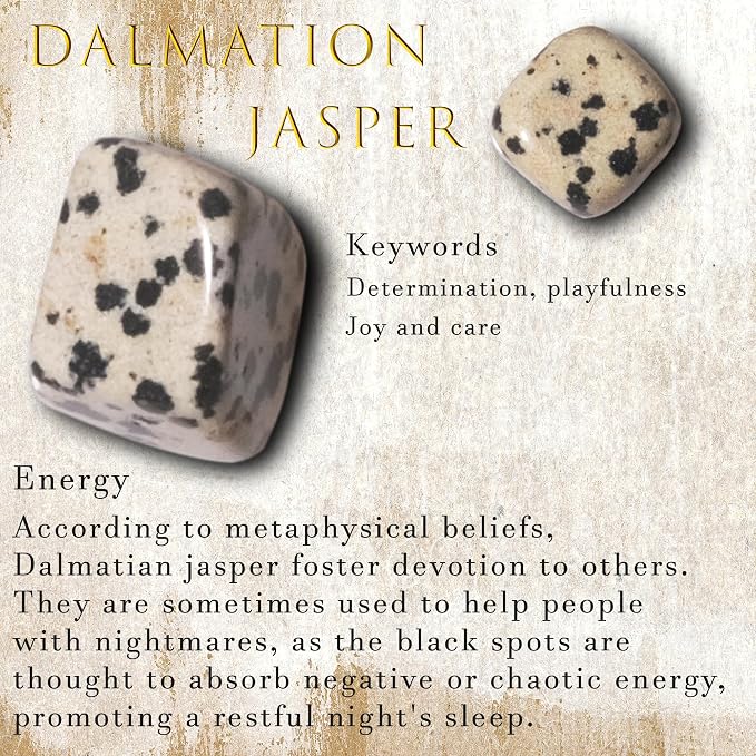 Dalmatian Jasper Chips Bulk 1lb, 600+ Pieces, 0.4-0.9in Natural Stones