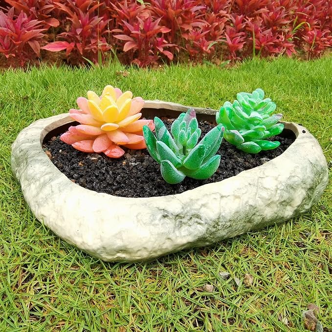 Boniosz 2lb Black Horticultural Lava Rock Soil Additive for Cacti, Vase Fillers, Succulents and Terrarium Plants - No Dyes or Chemicals - 100% Pure Volcanic Rock