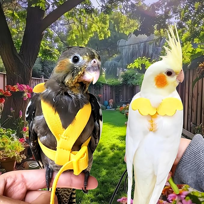 3 Sets Pet Parrot Bird Harness and Leash with Cute Wing, Adjustable Bird Flying Harness Straps Outdoor Training Traction Rope for Parrots Pigeons Lovebird Cockatiel(S,Pink, Yellow&Purple)