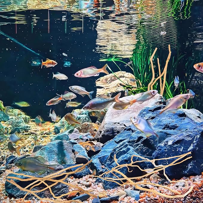 Hamiledyi Natural Driftwood for Aquarium Decor - Red Moor Wood 10"-15" Long Assorted Shapes (200g) Safe Branches for Fish Tank & Reptile Habitat - Natural Aquarium Wood Decorations (Delicate branches)