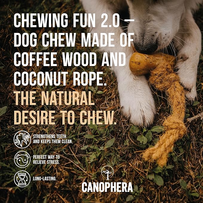 Canophera Dog Chew Coffee Wood and Coconut Rope Toy for Healthy Teeth and Gums Size Small - All Dog Breeds