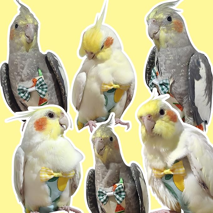 VANFAVORI Bird Diaper Harness Flight Suit Clothes with 80 Inch Flying Leash Rope for Parrots Conure Cockatiel Pet Birds Weight 80-105 Grams, M Size Lemon, Including A Cotton Pad