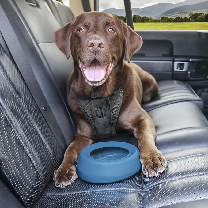 Kurgo Splash Free Wander Water Bowl, No Spill Dog Travel Bowl, Portable No Mess Bowl for Dogs, Splash Less Car Bowl for Pets, Car Accessories, 24 Ounces (Coastal Blue)