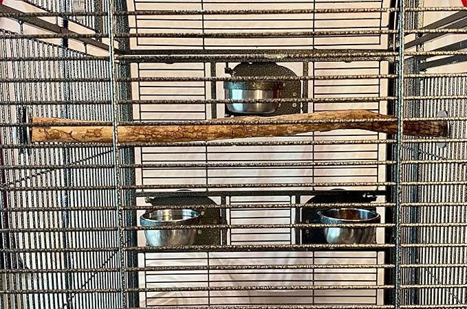 Polly's Full Length Hardwood Bird Perch, 28-Inch