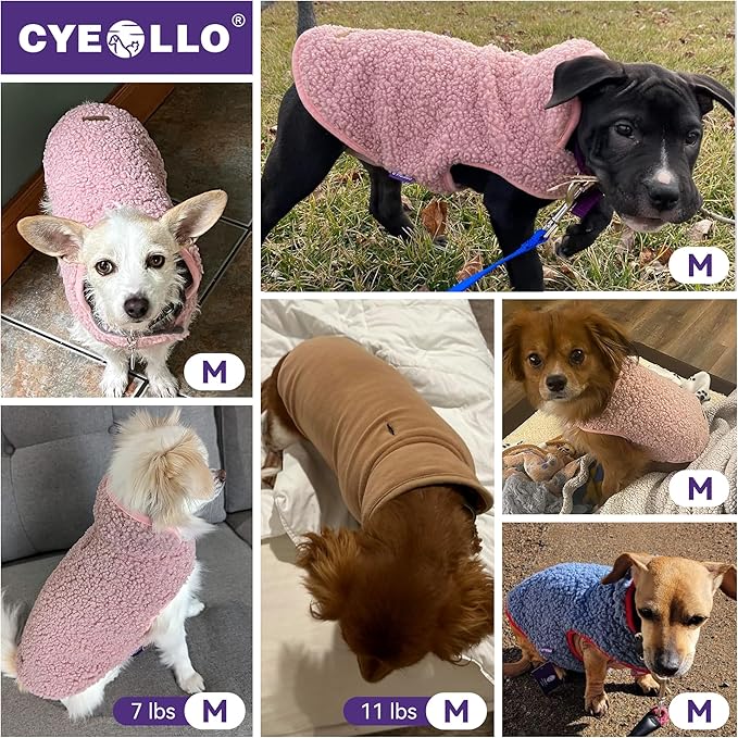 cyeollo Warm Dog Coat Sherpa Winter Coat, Reversible Fleece Jackets Sweater Vest for Small Dogs Female, Soft Cold Weather Dog Clothes, Rose Red M