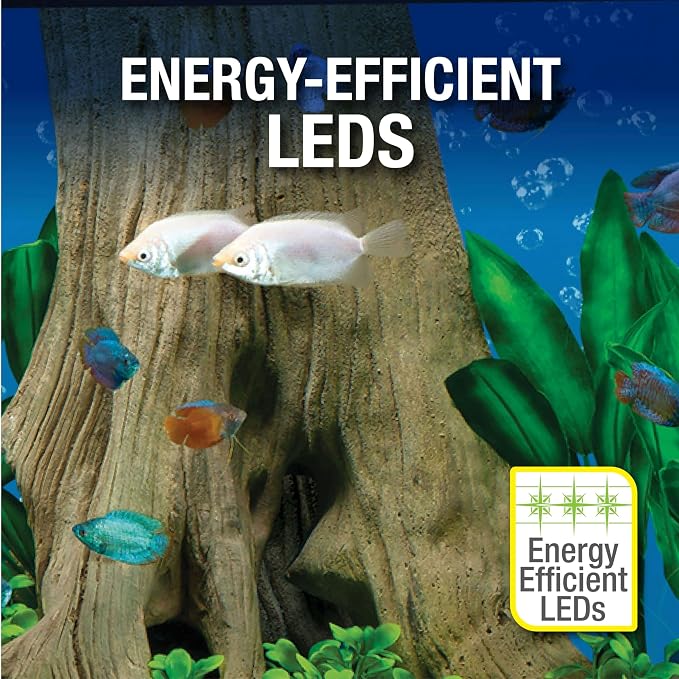 Tetra 29 Gallon Complete Tropical Fish Tank Kit