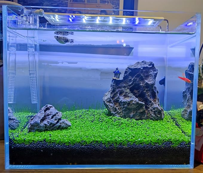 4 in 1 Aquarium Plant S.e.e.ds, no Artificial Plastic Plant, Live Grass for Fish Tank, fit All Substrate (0.36ozTiny+0.36oz Long+0.36oz Short+0.36oz Big Dual) ZQV-003