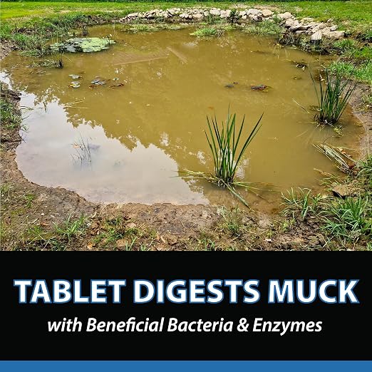 CrystalClear MuckOff Natural Pond Muck Treatment Sludge Remover, 48 Tablets | Living beneficial bacteria clarifier with enzyme for water gardens, fountains & bird baths; fish, aquatic animal & pet safe