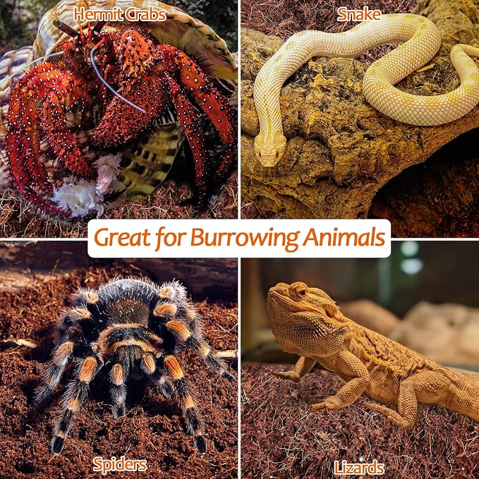 Riare 2 Pack Natural Coconut Fiber Substrate, Coco Coir Reptile Bedding | Coconut Husk Reptile Substrate for Tortoises, Hermit Crabs, Snakes, Bearded Dragon, Geckos, Reptile Enclosure/Terrarium Setup