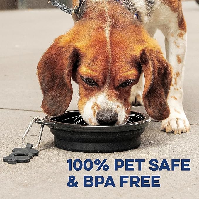 Bonza Collapsible Dog Bowls - Small 12 oz, Dog Travel Accessories, Silicone Portable Dogs Bowl & Water Dish with Reinforced Rim & Carabiner for Hiking, Camping, and Car Trips, Light Gray