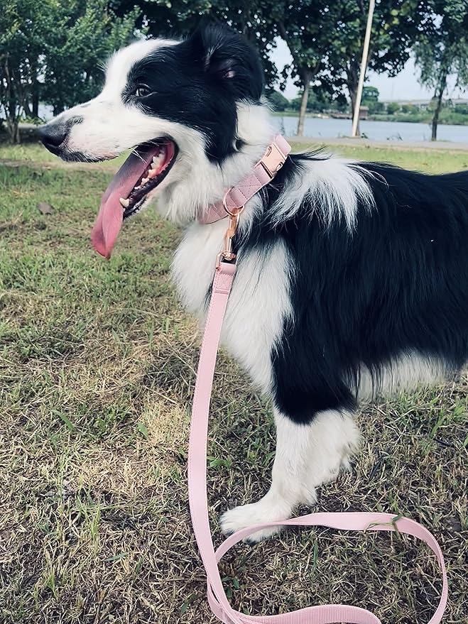 Dog Collar and Leash Set.Soft and Easy to Clean Vegan Leather with Rose Gold Metal Buckle for Small Medium Large Dogs (Pink, S(12.2"-16.9"))