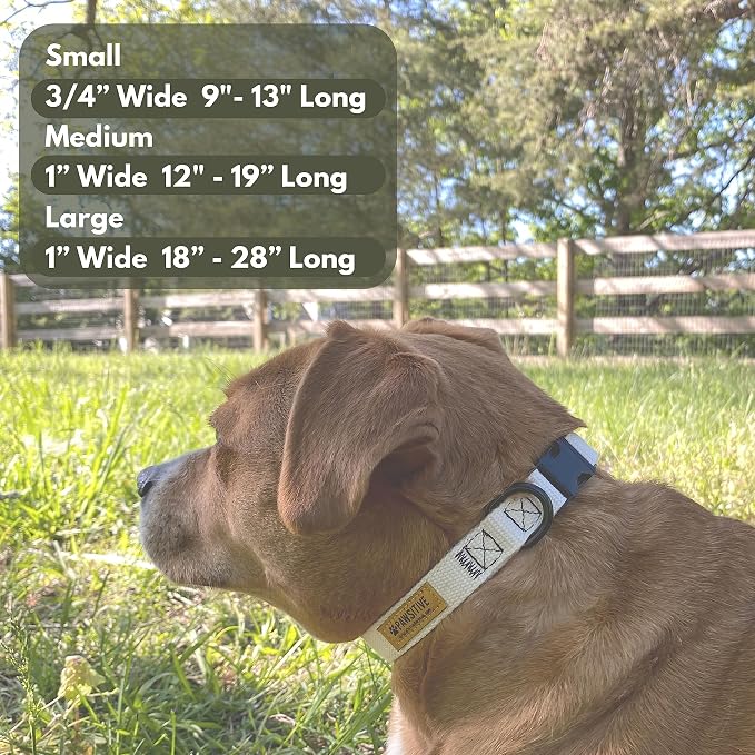 Pawsitive Hemp Dog Collar - Super Soft Hypoallergenic Lining. Great for Small, Medium and Large Dogs; Small Natural