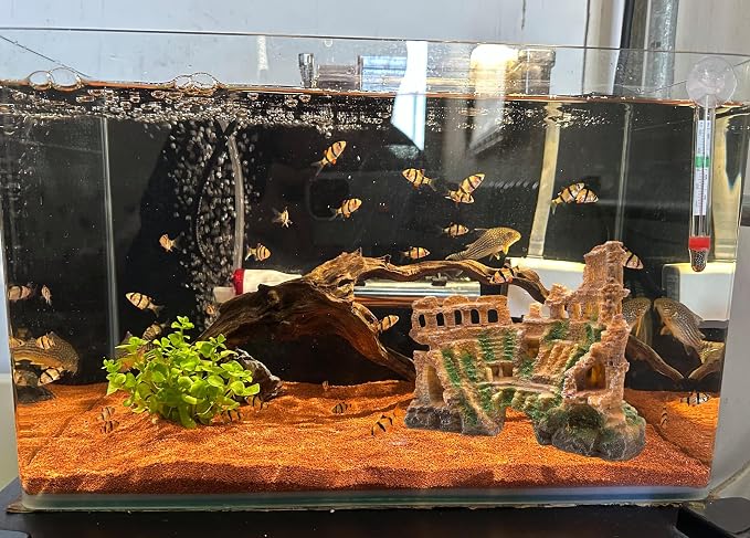 M2cbridge Aquarium Decor Antique Roman Column Ruin Rome Colosseum | Natural colors careful craft, perfect resting spot, solid and sturdy