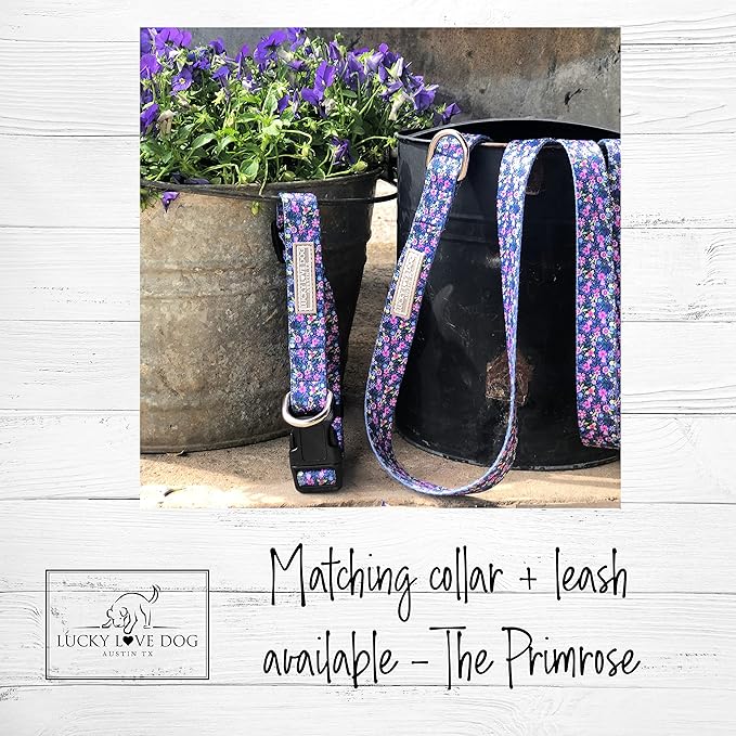 Lucky Love Dog No Pull Dog Harness, Adjustable and Easy to Walk, Cute Patterned Harness for SmallMale & Female Dogs - Primrose, Small