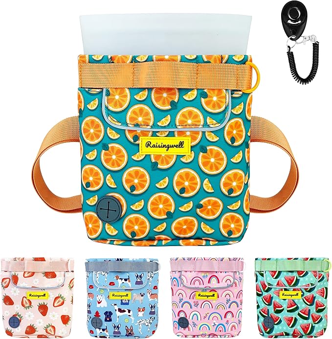 Raisingwell Dog Treat Pouch for Pet Walking and Training with Clicker 2 Cup Silicone Bag Small Fanny Pack Holder for Puppy Snack Dispenser Kit for Leash and Outdoor Use (Fruit Orange)