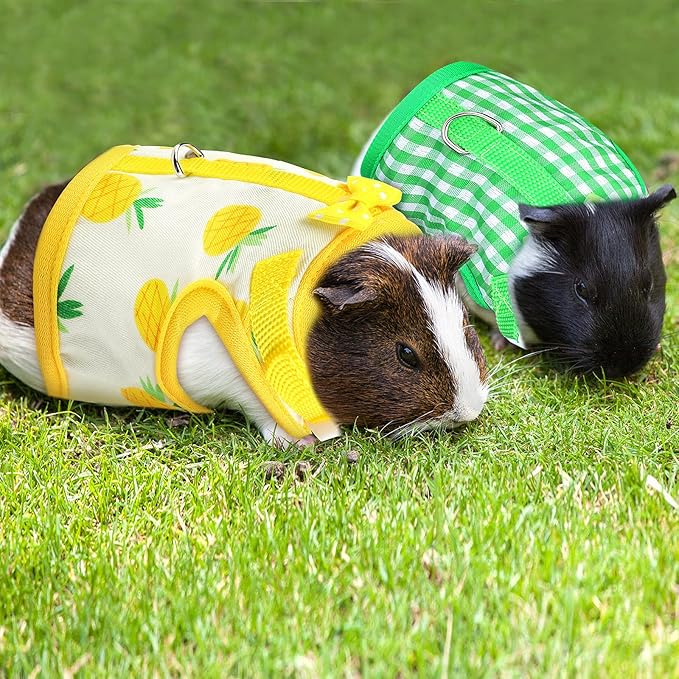 Weewooday 3 Pieces Guinea Pig Harness with Leash Small Pet Harness Fruit Plaid Pattern Adjustable Padded Walking Vest for Pet Hamster Squirrel Animals(Pineapple, Blue, Green Plaid,Medium)