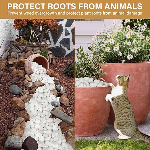 NUPICK 6lb White River Rocks for Plants Indoor, 1-2Inch Pebbles for Vases Fillers, Decorative Gravel for Fish Tank, Natural Polished Stones for Succulent, Bonsai, Landscaping, Bird Baths