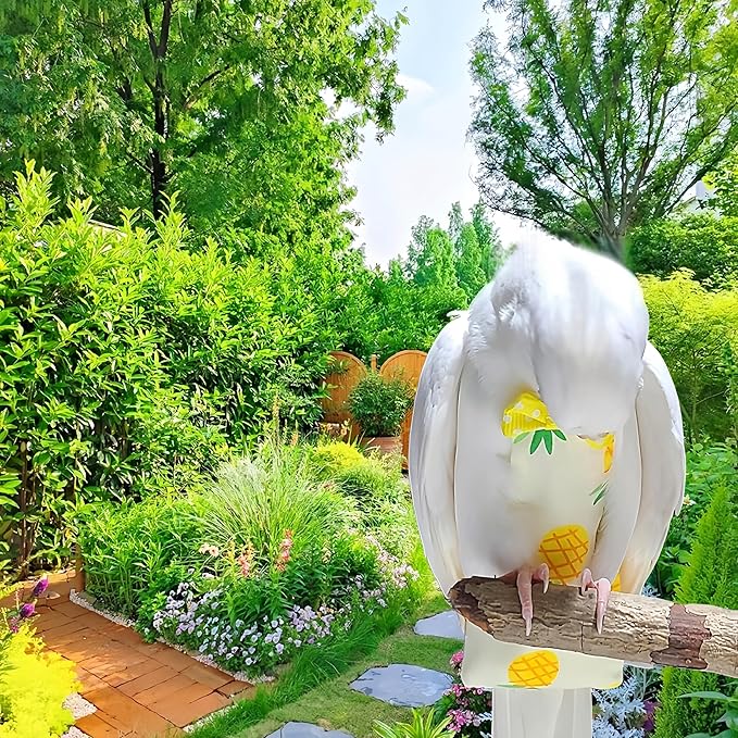 2Pcs Bird Diapers Bird Harness Flight Suits Diapers with 80 Inch Flying Leash Parrot Nappy Washable Cute Urine Wet Suit for Cockatiel Conure Macaw Budgies Parakeet-Rabbit&Pineapple,M