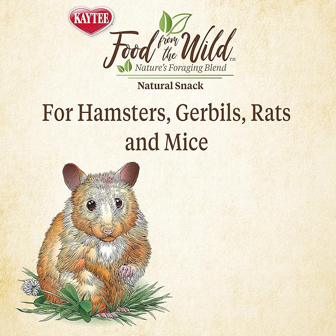 Kaytee Food from The Wild Natural Snack for Pet Hamsters, Gerbils, Rats and Mice, 2 Ounces (Pack of 2)
