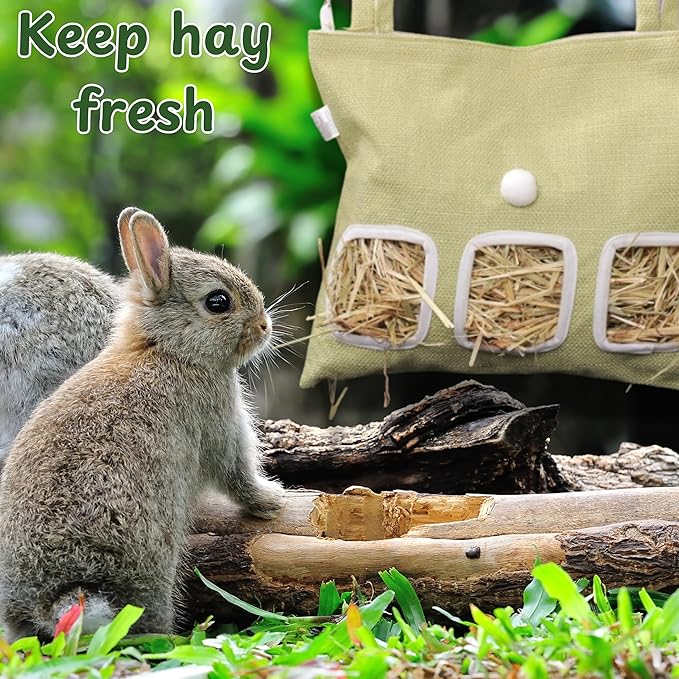Cute Hanging Rabbit Hay Feeder Bag, Guinea Pig Hay Bag, Bunny Feeders Holder Storage For Small Pets Bunnies Chinchilla Hamster Rats, Guinea Pig Accessories For Cage, Bunny Accessories For Cage (Green)