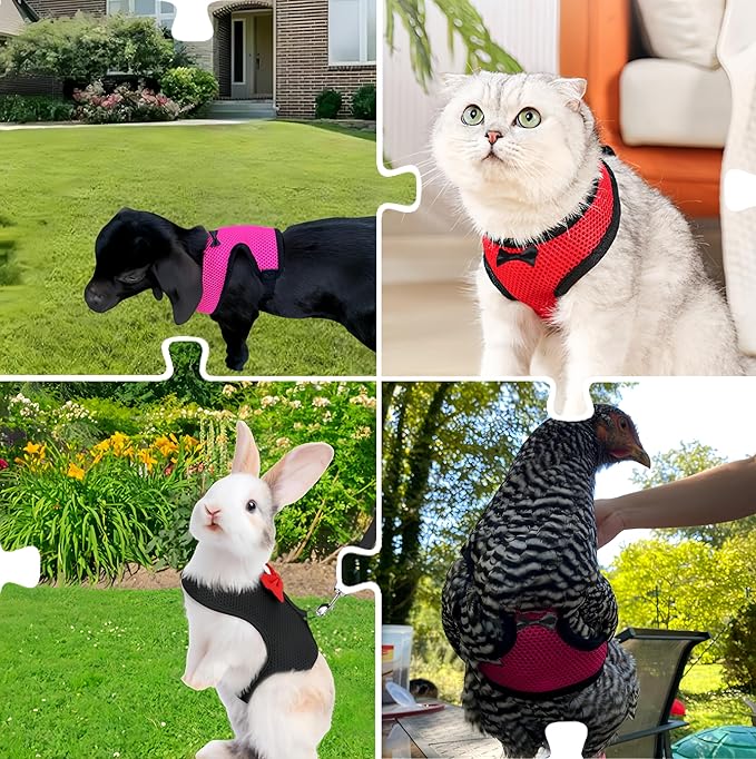 3 Pack Chicken Harness and Leash Set Adjustable Hen Vest with Matching Belt Breathable Mesh Training Harness Pets Leash for Hens Duck Goose Small Pet-Black&Red&Pink,L