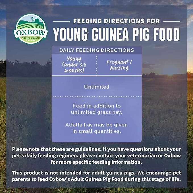 Oxbow Garden Select Young Guinea Pig Food, Alfalfa & Timothy Hay Guinea Pig Pellets, High Fiber for Digestive Health, Vitamin & Mineral Pet Food Pellets, Small Pet Products, Made in USA, 4 lb Bag