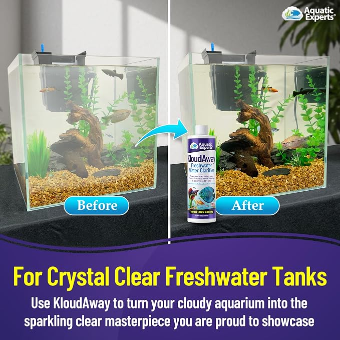 KloudAway Freshwater Aquarium Water Clarifier - Clears Cloudy Water, Water Clarifier for Fish Tank, Made in USA, Aquatic Experts, (500 ml) (Pack of 2)