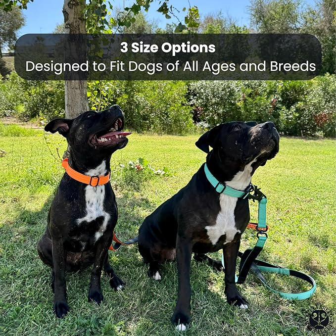 Tactical Dog Collar for Puppy, Heavy Duty Puppy Collar, Dog Collar for Small Dogs, Waterproof Dog Collar, Dog Training Collar, Quick-Release Buckle, Adjustable Sizes – BULLYBREED (Aquamarine, Small)