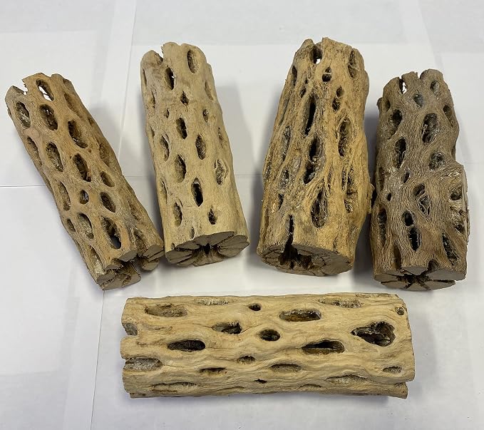 Awesome Aquatic XL Cholla Wood Tubes, Teddy Cane, 6" x up to 2" | XL Hideouts • Hollow tubes • Natural biofilm surface • Secure hideouts • Shrimp plecos hermit crabs reptiles • Natural décor
