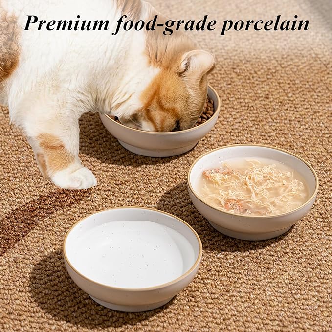 Cat Bowl 3 Pack, Pet Plate, Premium Ceramic Food Grade Pet Bowl Suitable for Dry and Wet Food, 5 in Feeding Indoor Cats, Kittens and Small Dogs, Dishwasher Safe (Black White Gray)