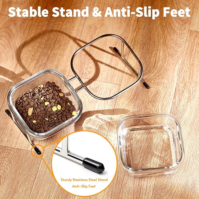 Hannadepot Elevated Cat Bowls, 15° Tilted Glass Raised Cat Food Bowl with Stainless Steel Stand, 2 Large Capacity Glass Cat Bowls and 4 Anti Slip Feet, Suitable for Cats and Little Dogs