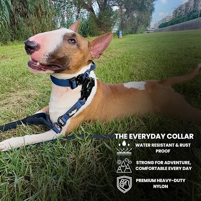 Tactical Dog Collar for Puppy, Heavy Duty Puppy Collar, Dog Collar for Small Dogs, Waterproof Dog Collar, Dog Training Collar, Quick-Release Buckle, Adjustable Sizes – BULLYBREED (Navy Blue, Small)