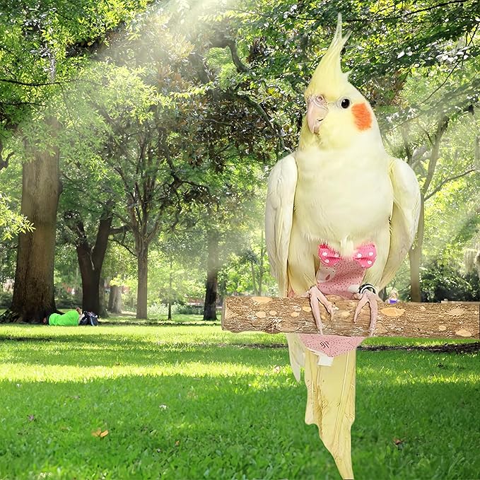 2Pcs Bird Diapers Bird Harness Flight Suits Diapers with 80 Inch Flying Leash Parrot Nappy Washable Cute Urine Wet Suit for Cockatiel Conure Macaw Budgies Parakeet-Rabbit&Kitten,M