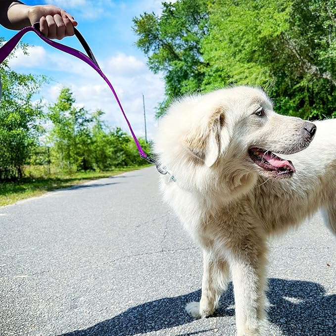 Joytale Dog Leash Heavy Duty for Large Dogs that Pull, Double Handle for Traffic Control, Double-Sided Reflective Leashes for Large Medium Dogs Night Safety, 6FT, Purple