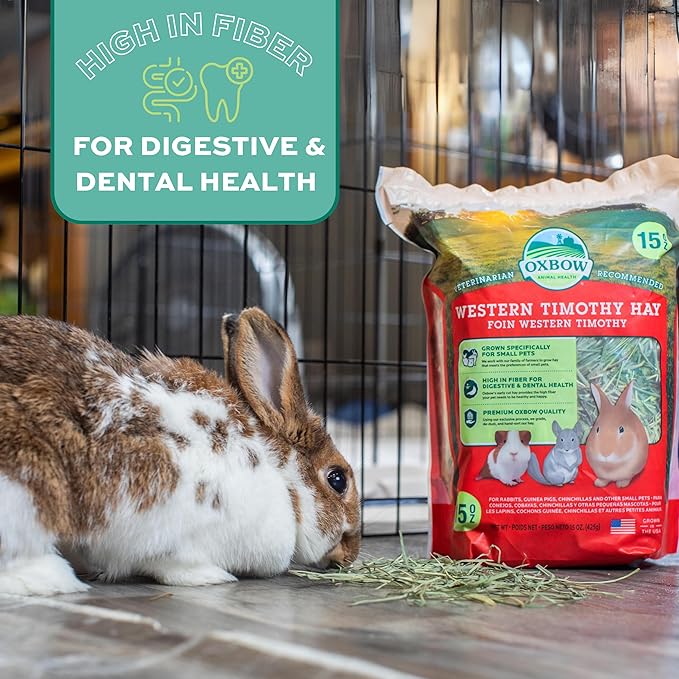 Oxbow Timothy Hay, Rabbit & Guinea Pig Hay, High Fiber for Digestive Health, Grown in the USA, Veterinarian Recommended Small Pet Supplies, for Rabbits, Guinea Pigs, & Chinchillas, 15 oz.