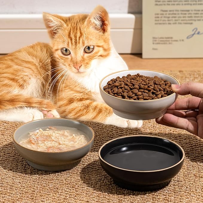 Cat Bowl, Ceramic Small Pet Bowl Pack of 3, Dishwash Safe Pet Food and Water Bowl Dishes for Small Dog, Fat Faced Cat, Kitten, Rabbits Puppy Birds(Safe Food-Grade Ceramic), White