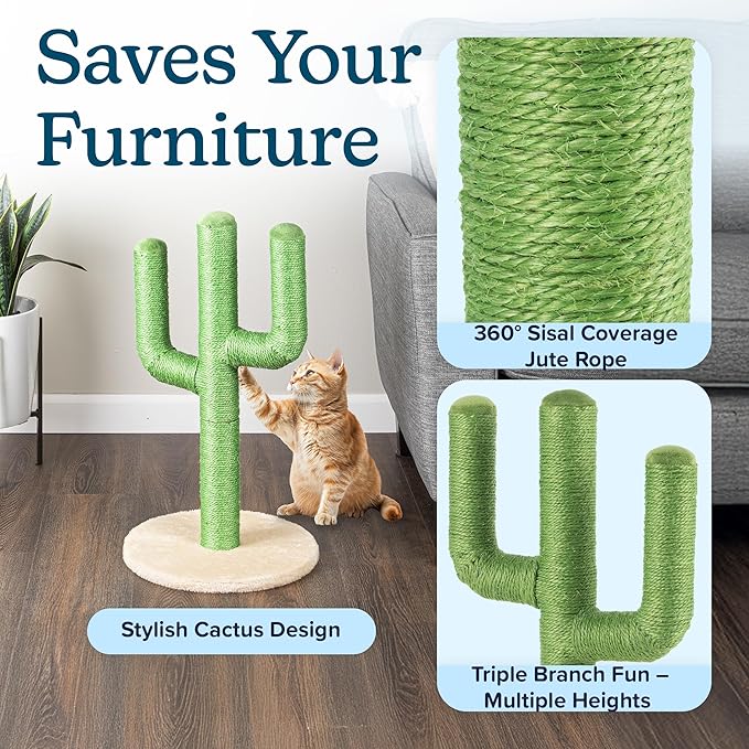 24” Tall Cat Scratching Post - Vertical Cactus Scratch Post for Indoor Cats - 360 Degree Jute Rope-Covered Kitten Scratcher with 3 Branches and Sturdy Base by PETMAKER (Green)