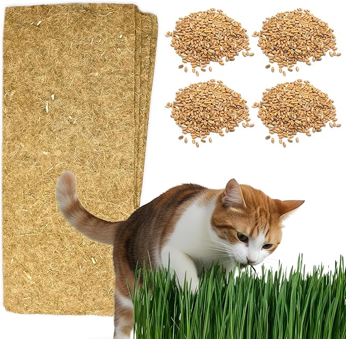 Cat Grass Refills for Self Watering Cat Grass Kit - 4 Mats and 4 Cat Grass Seed Packets (Refill Kit)
