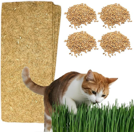 Cat Grass Refills for Self Watering Cat Grass Kit - 4 Mats and 4 Cat Grass Seed Packets (Refill Kit)