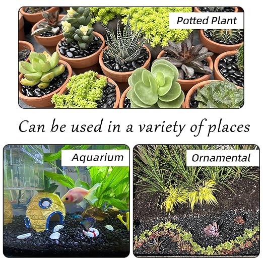 CJGQ 2.4lb 1/4" Small Pebbles Black for Plants,Potting,Succulents Aquarium Fish Tank Vases Decorative Garden Polished Gravel Rocks Stones